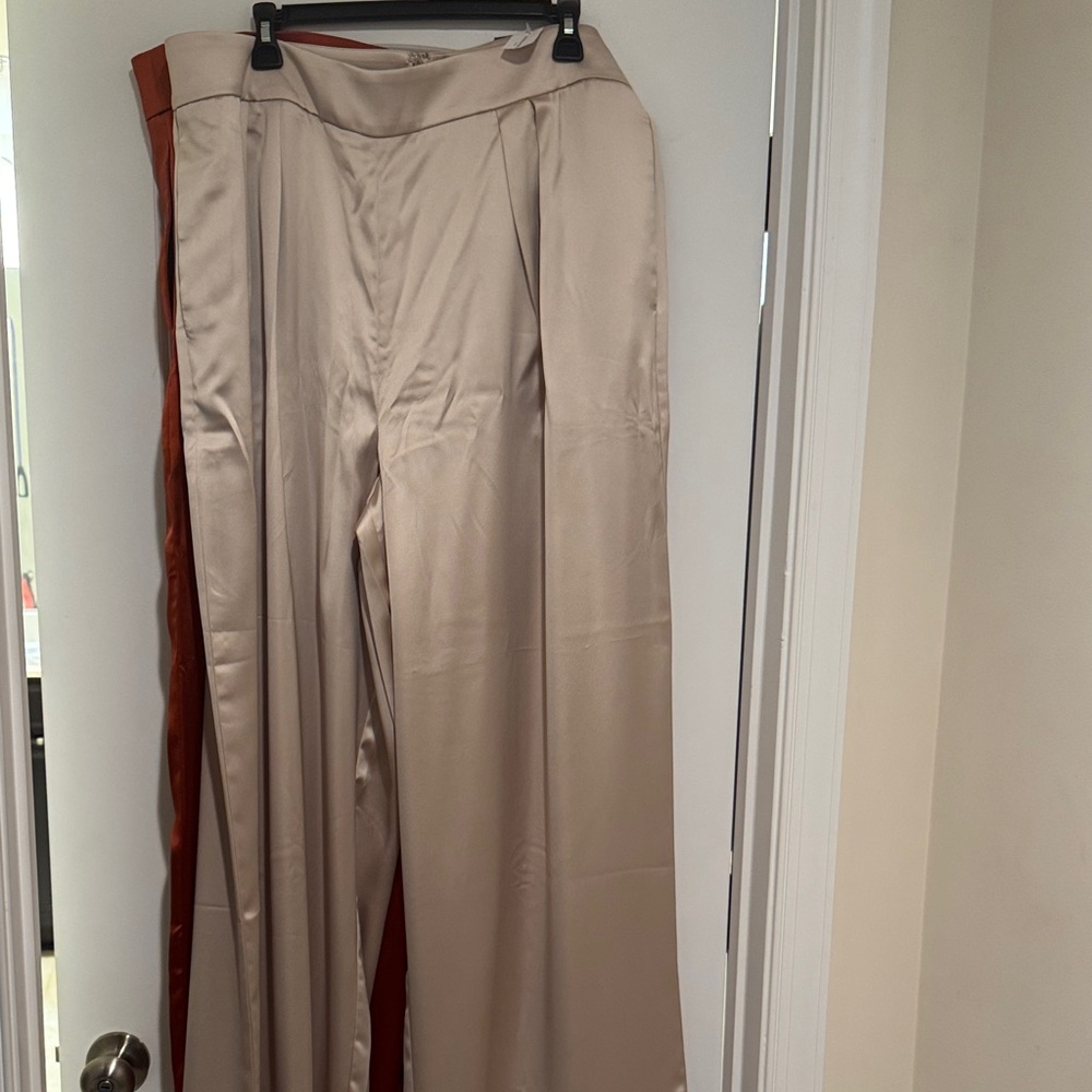 Banana Republic Wide Leg Pants in Beige with Rust Accent